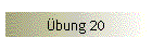 bung 20